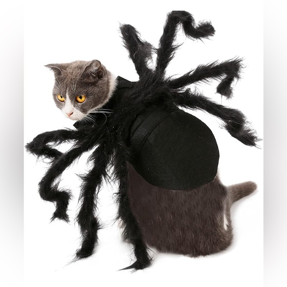 Halloween Pet  Spider Costume - - Picture 1 of 3